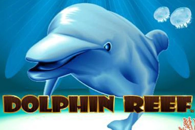 dolphin_reef